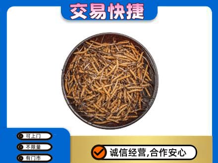 锡林郭勒盟高价回收散虫草